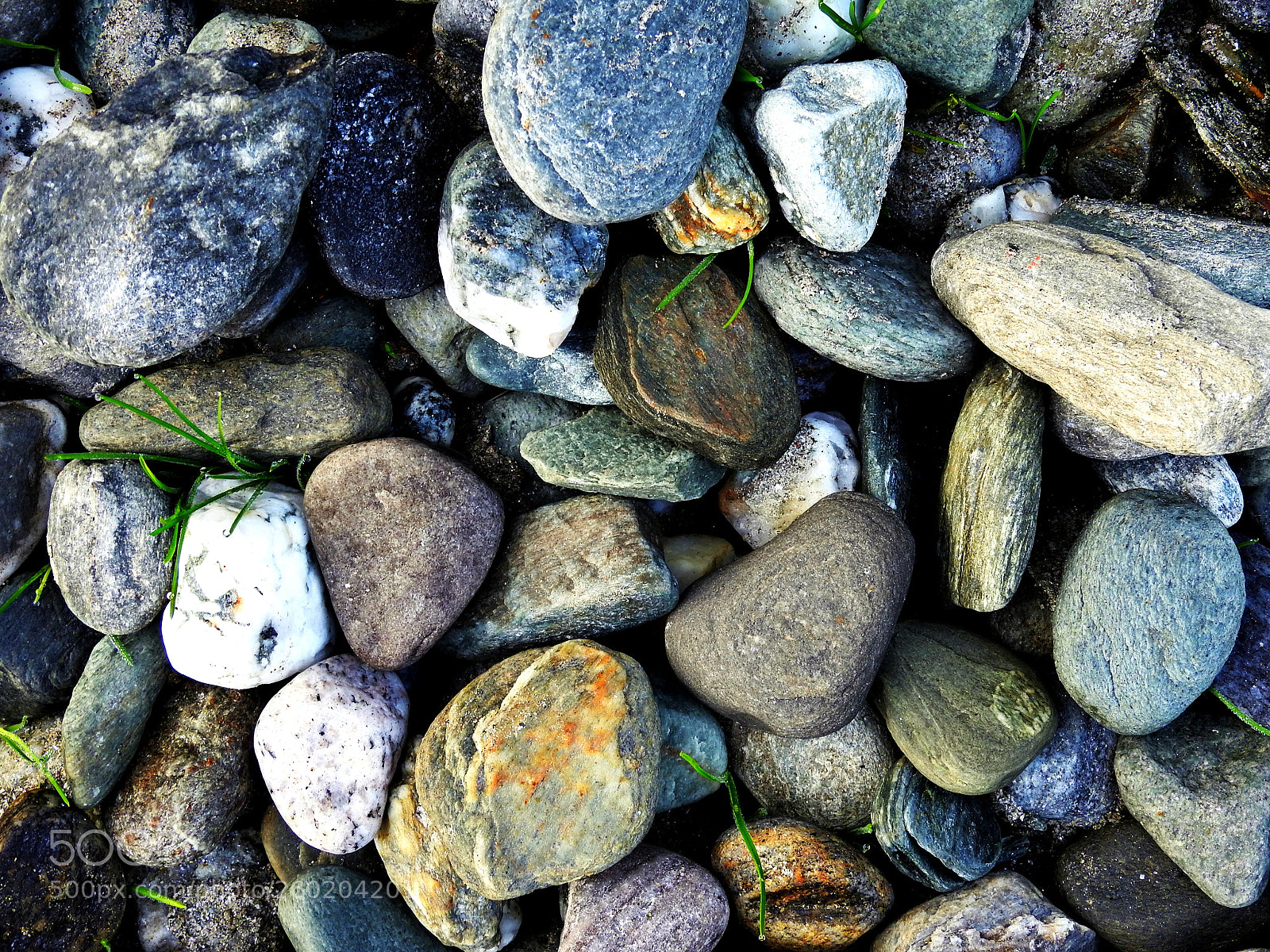 Nikon Coolpix P900 sample photo. Abstraction...!!! photography