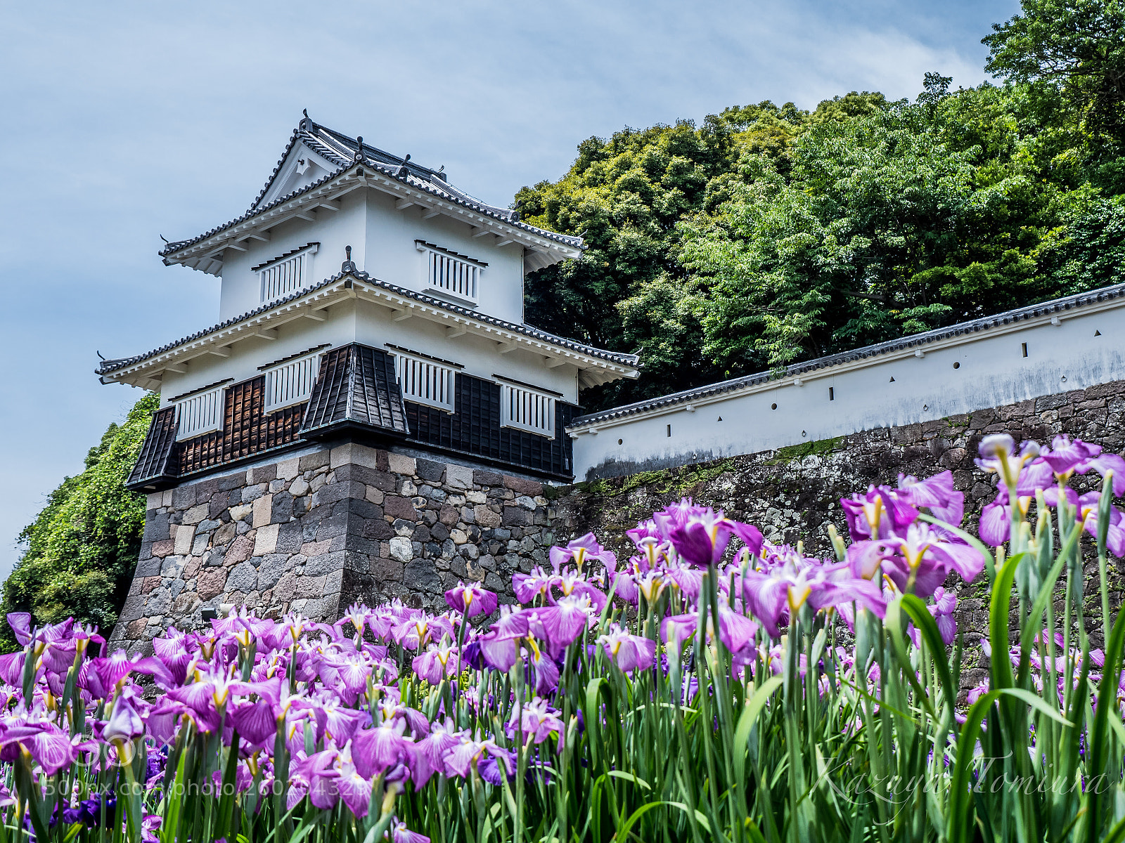 Panasonic Lumix DMC-GH4 sample photo. Kushima castle photography