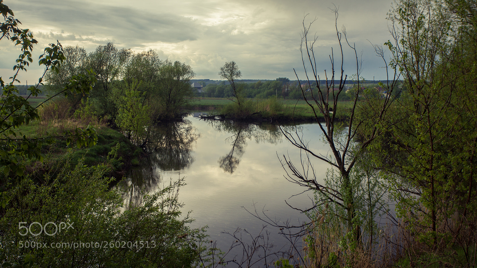 Canon EOS 5D Mark II sample photo. Tree, reflected in the photography
