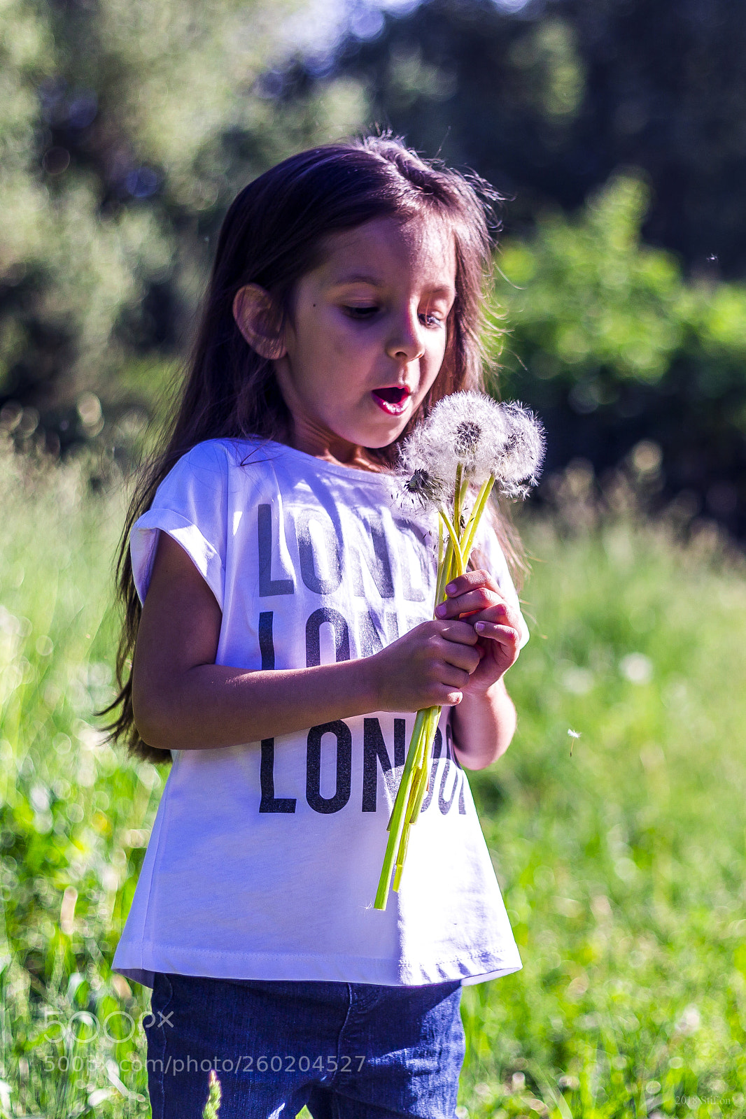 Canon EOS 6D sample photo. Spring sigh photography