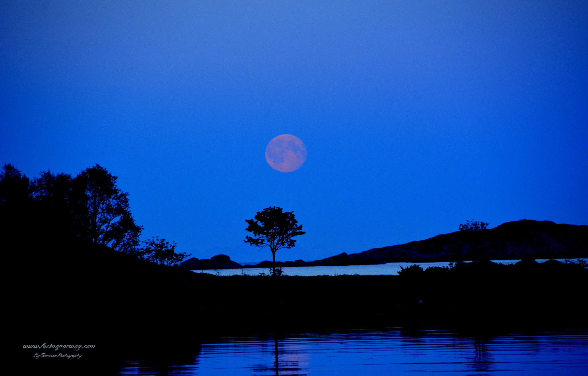 Nikon D7100 sample photo. Pink moon photography