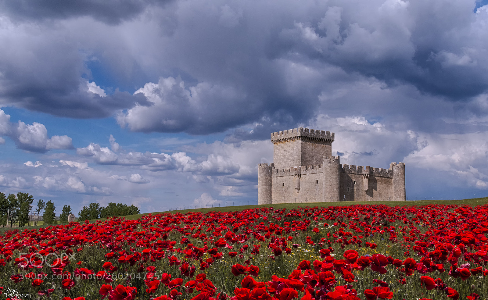 Canon EOS 70D sample photo. Castillo de villalonso photography