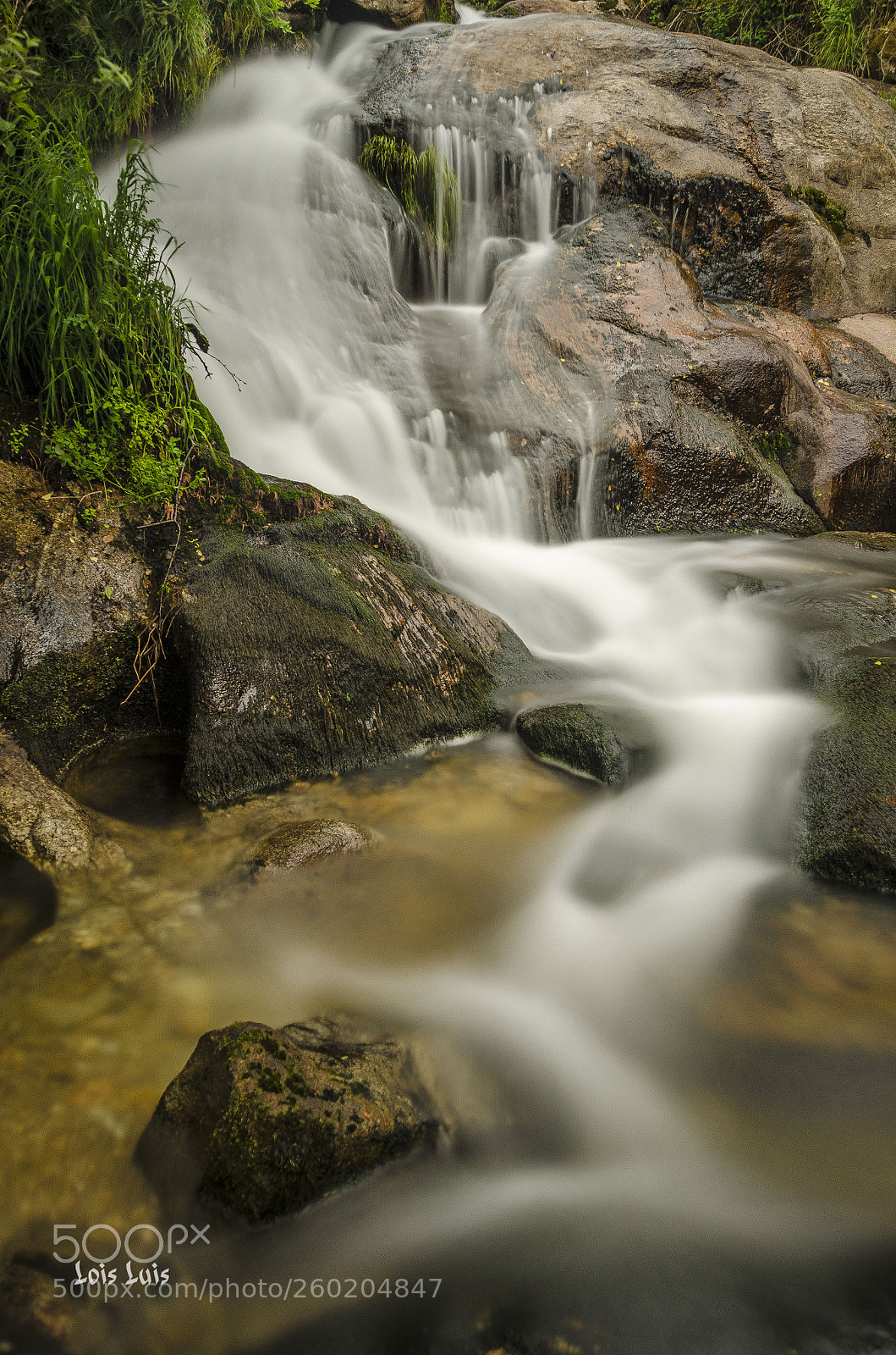 Nikon D7000 sample photo. Untitled photography