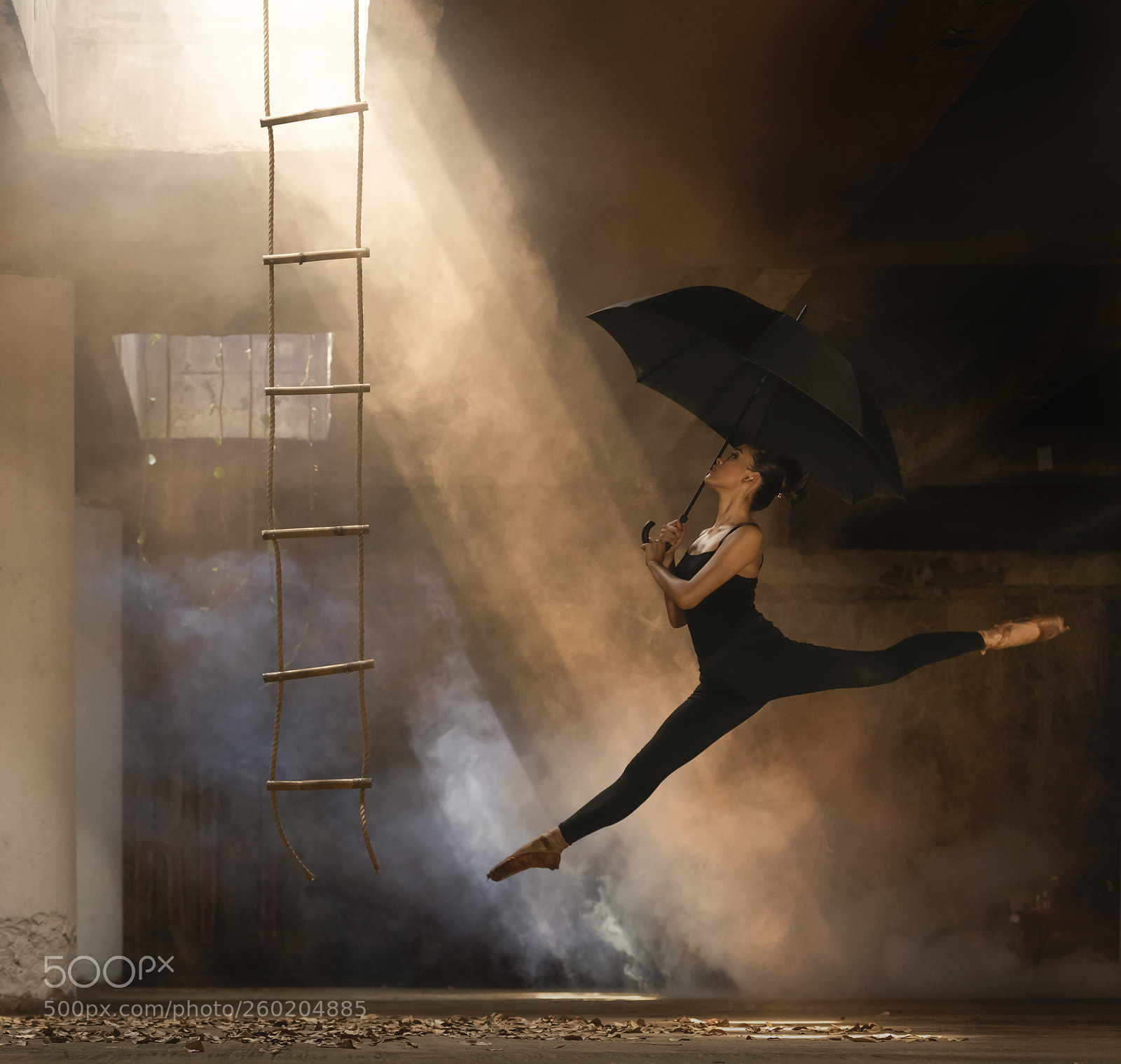 Nikon D750 sample photo. Seeing the light photography