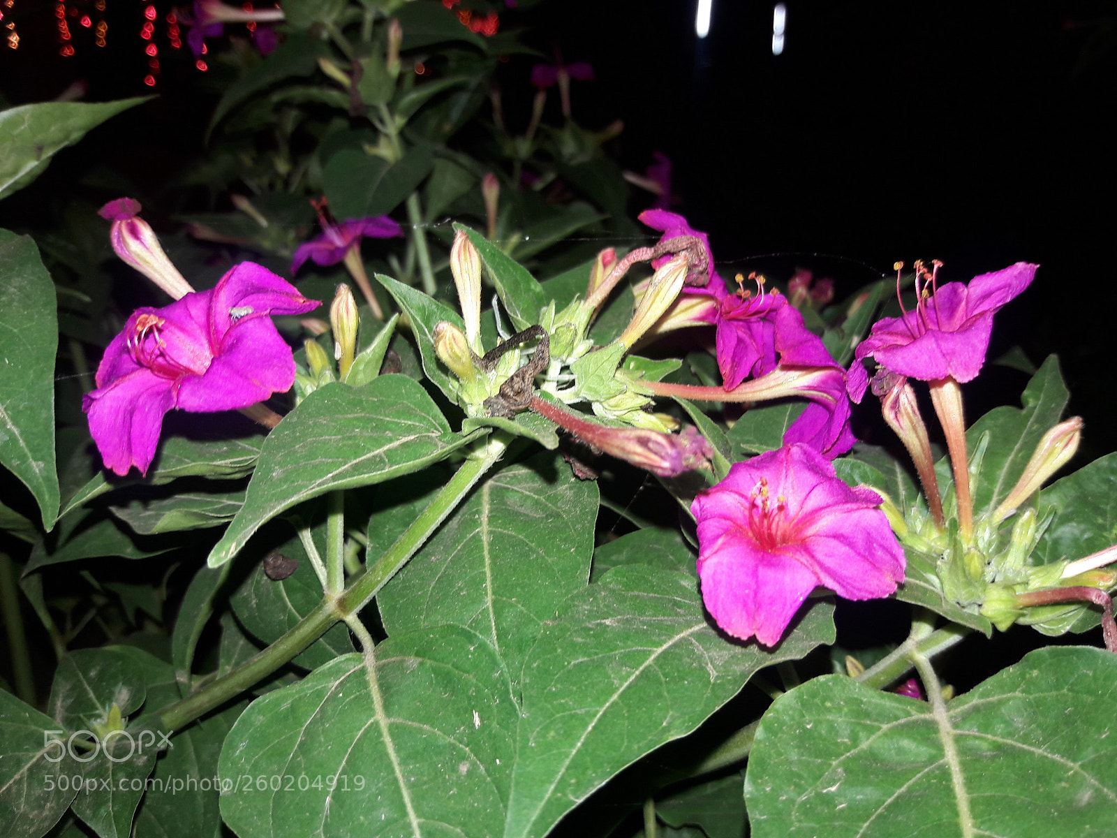 Samsung Galaxy J7 sample photo. Untitled photography