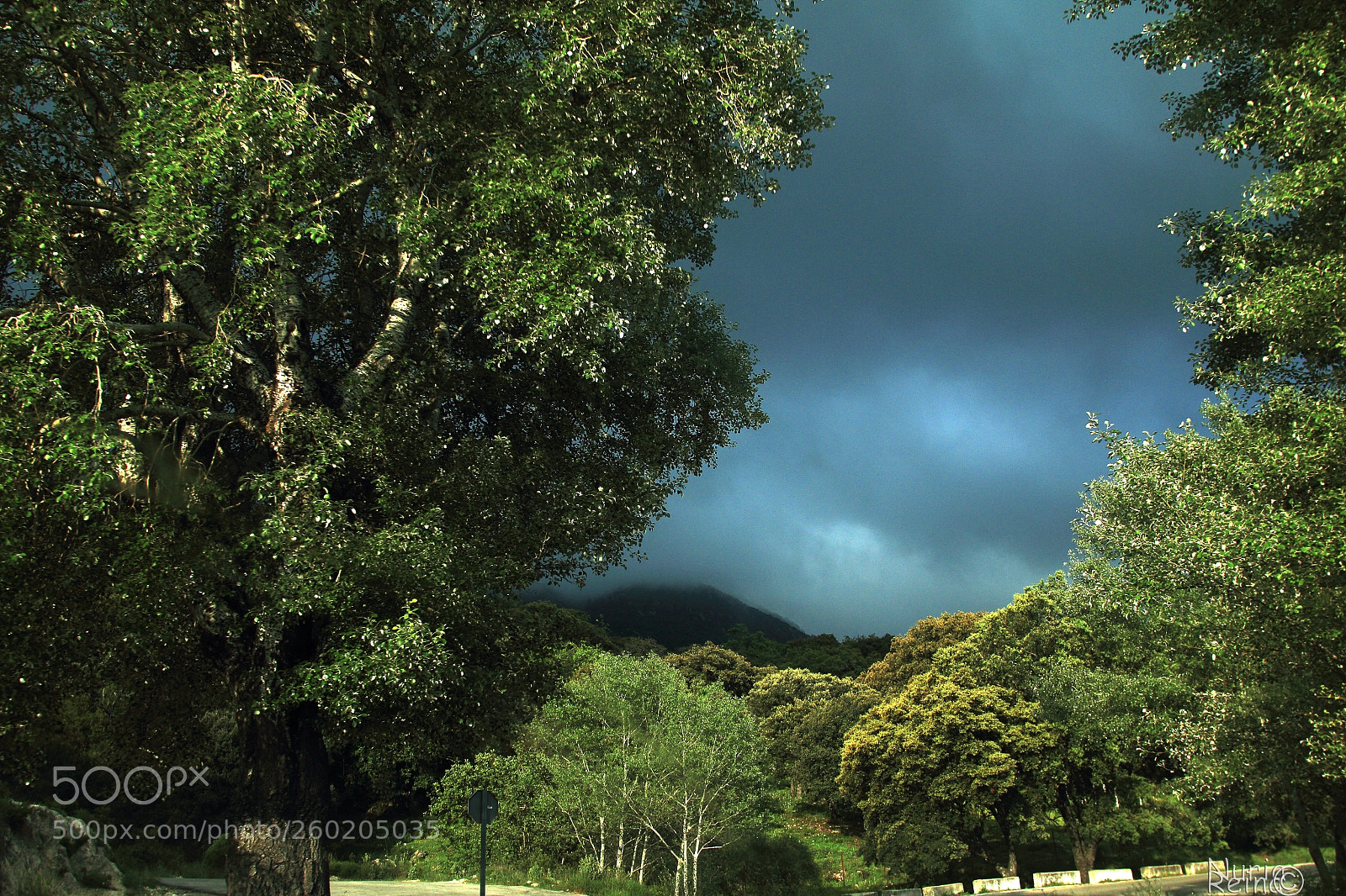 Canon EOS 70D sample photo. Untitled photography