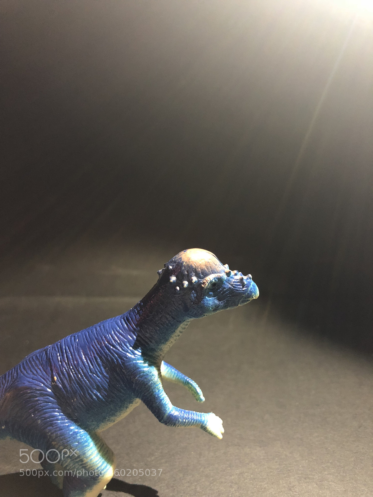 Apple iPhone 8 sample photo. Untitled photography
