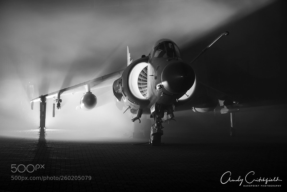 Fujifilm X-T2 sample photo. Sea harrier photography