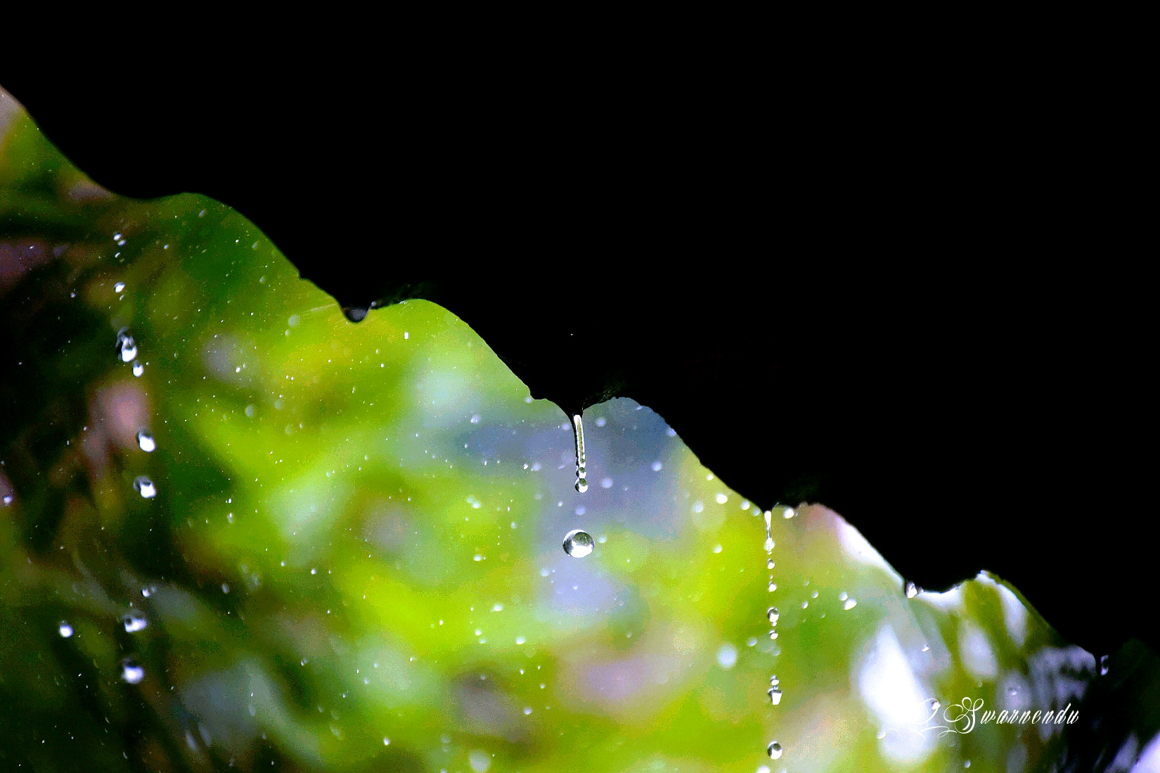 Nikon D5300 sample photo. The rain photography