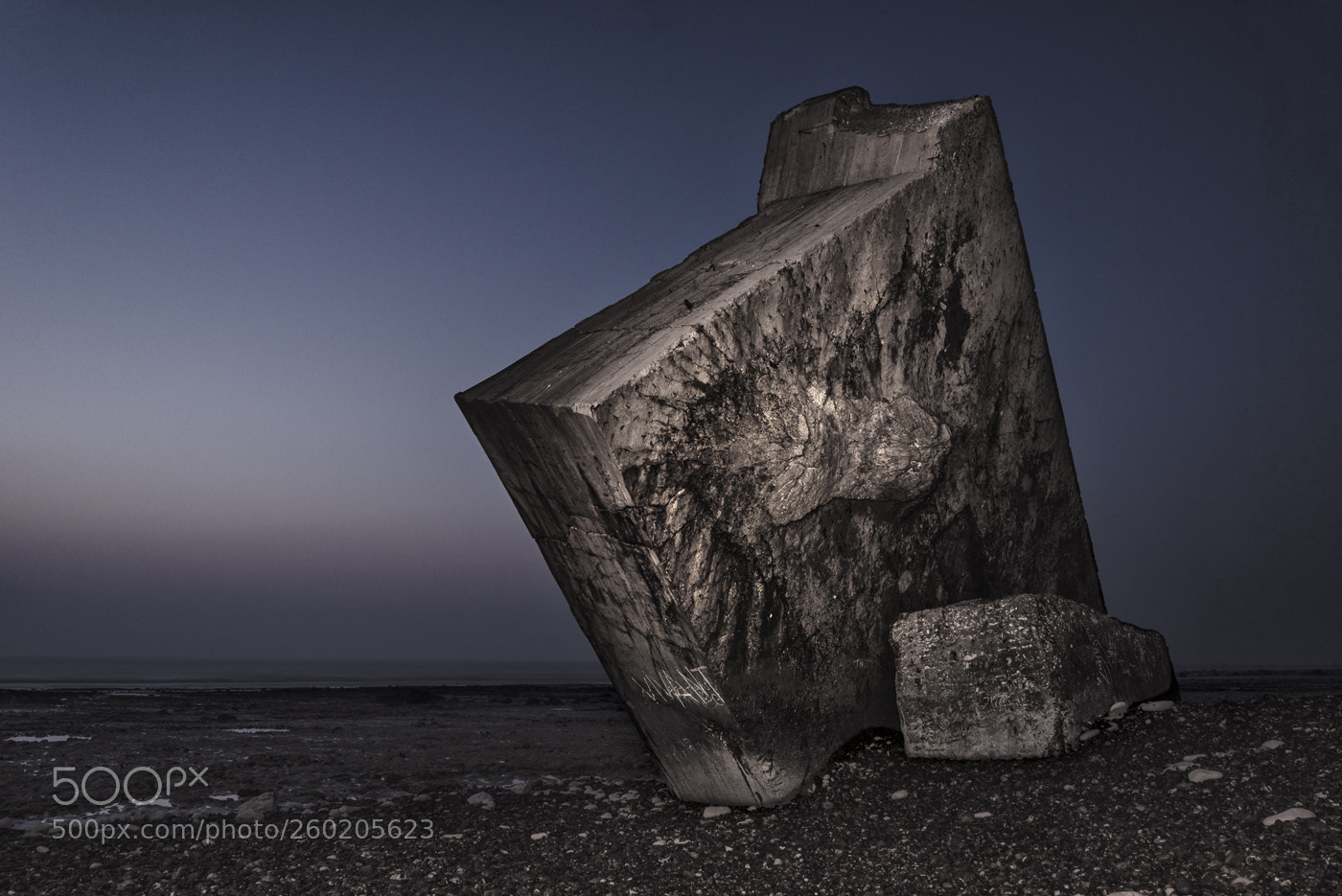 Nikon D610 sample photo. Puissance contre nature photography