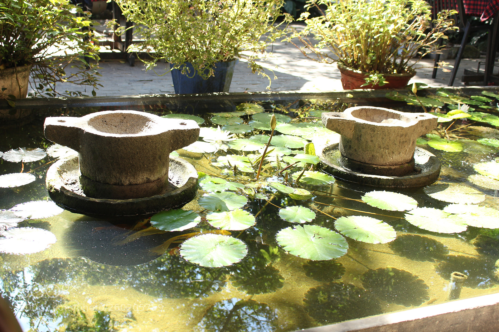 Canon EOS 700D (EOS Rebel T5i / EOS Kiss X7i) sample photo. Img photography