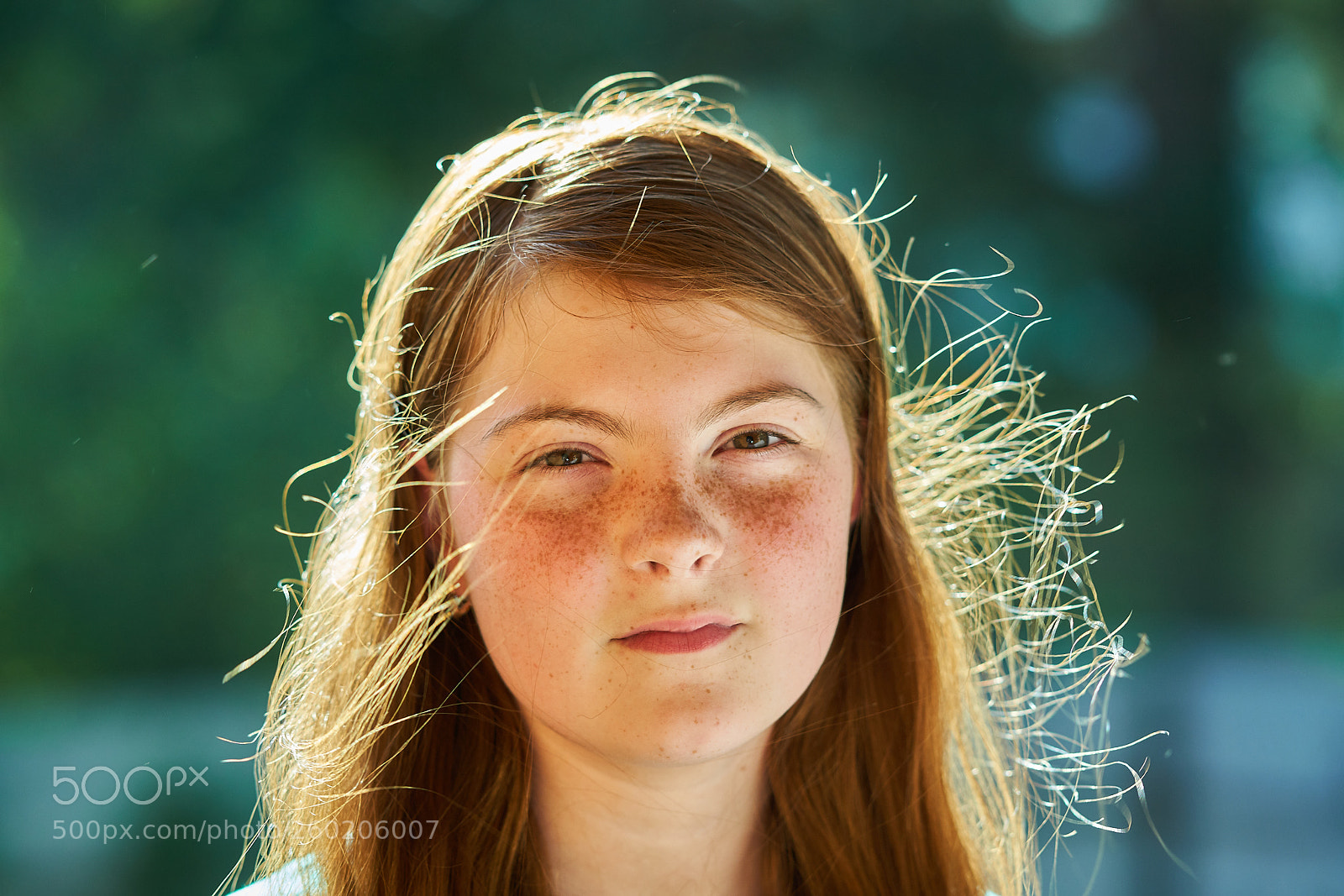 Sony a99 II sample photo. Untitled photography