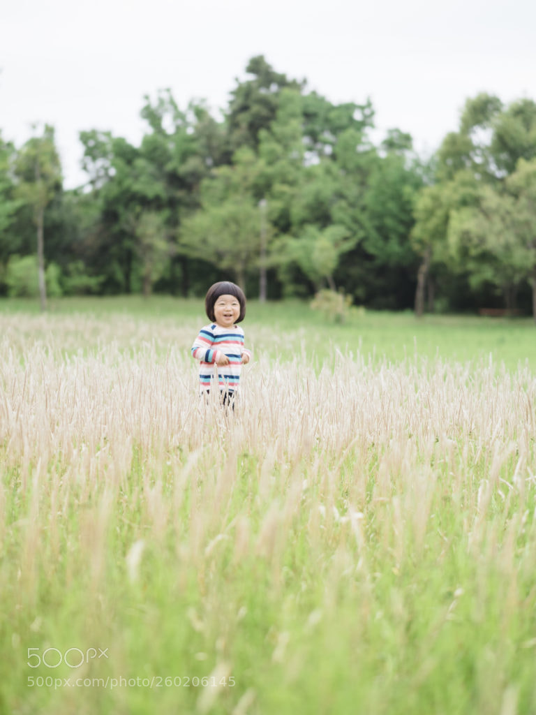 Olympus OM-D E-M1 Mark II sample photo. Zashikiwarashi photography