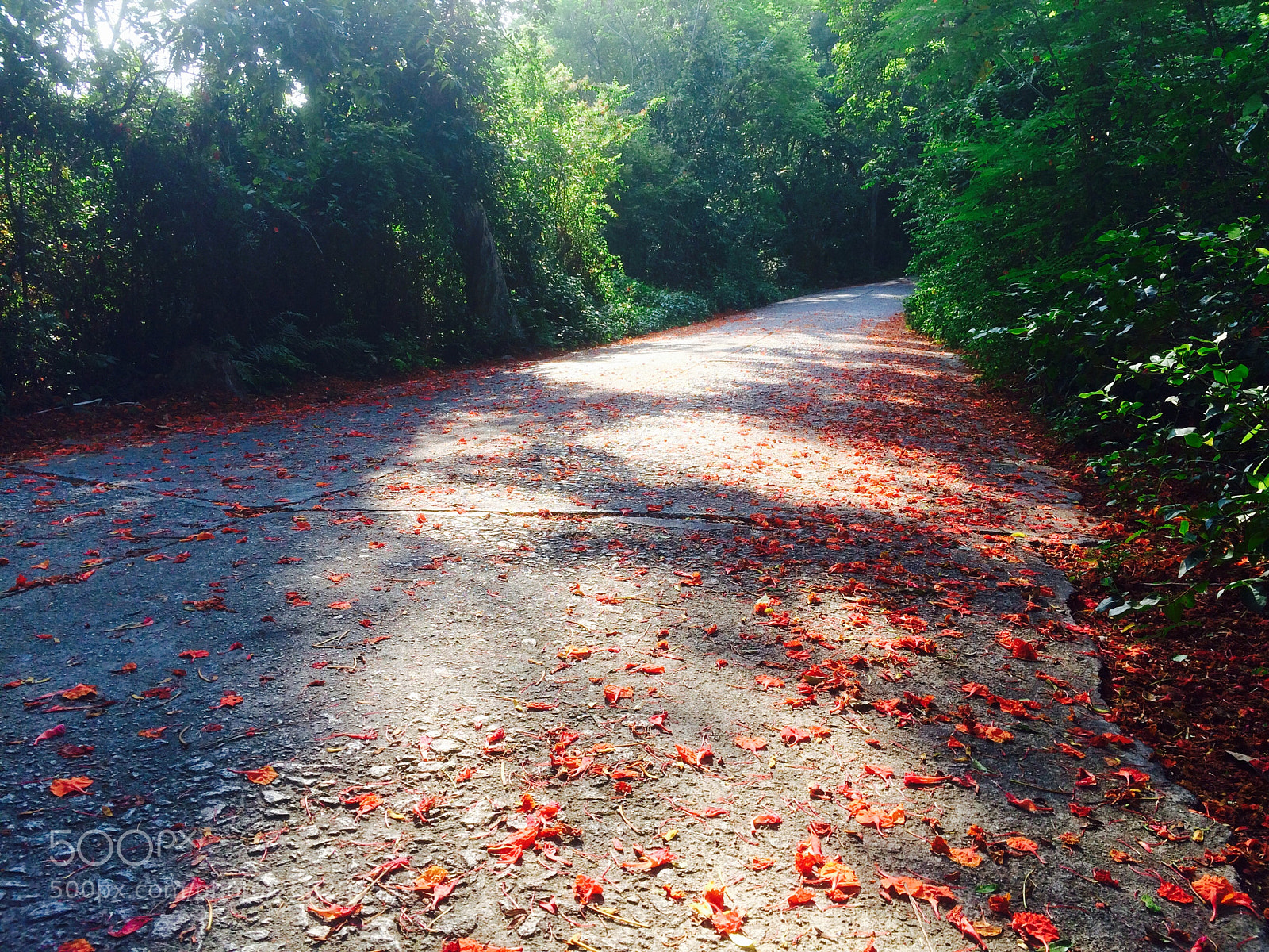 Apple iPhone 5s sample photo. Untitled photography