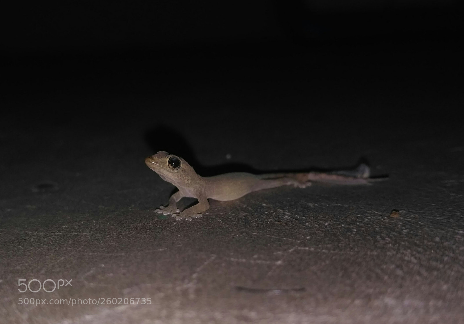 Xiaomi Redmi 3S sample photo. Untitled photography