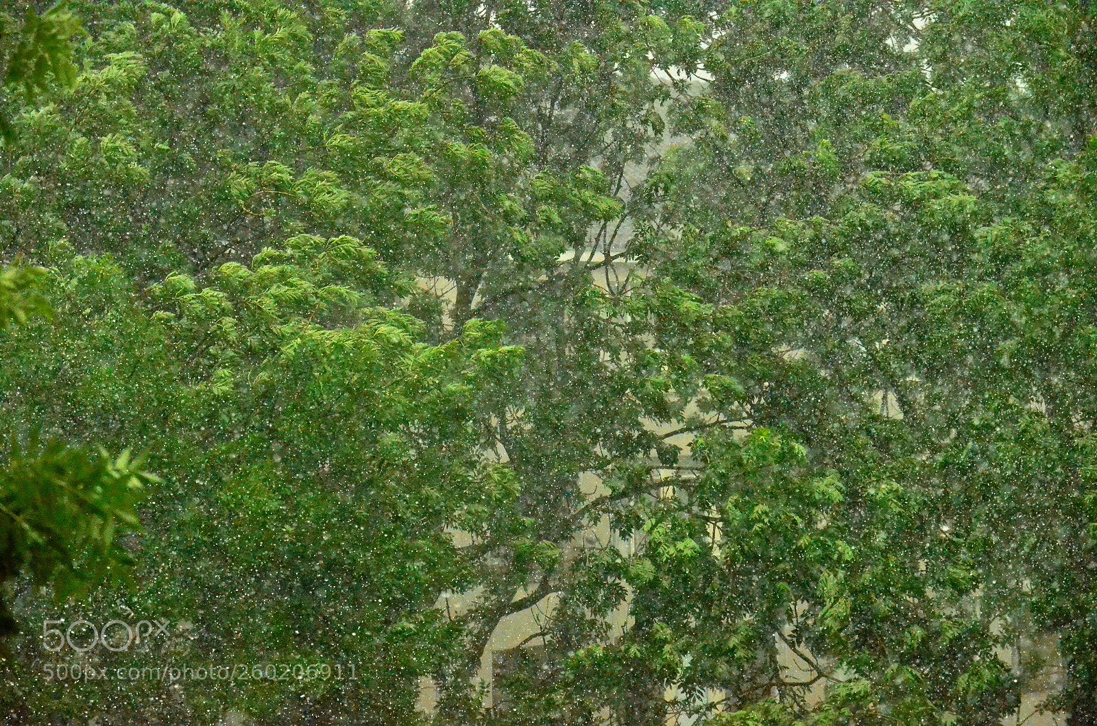 Nikon D5100 sample photo. Counting number of drops photography