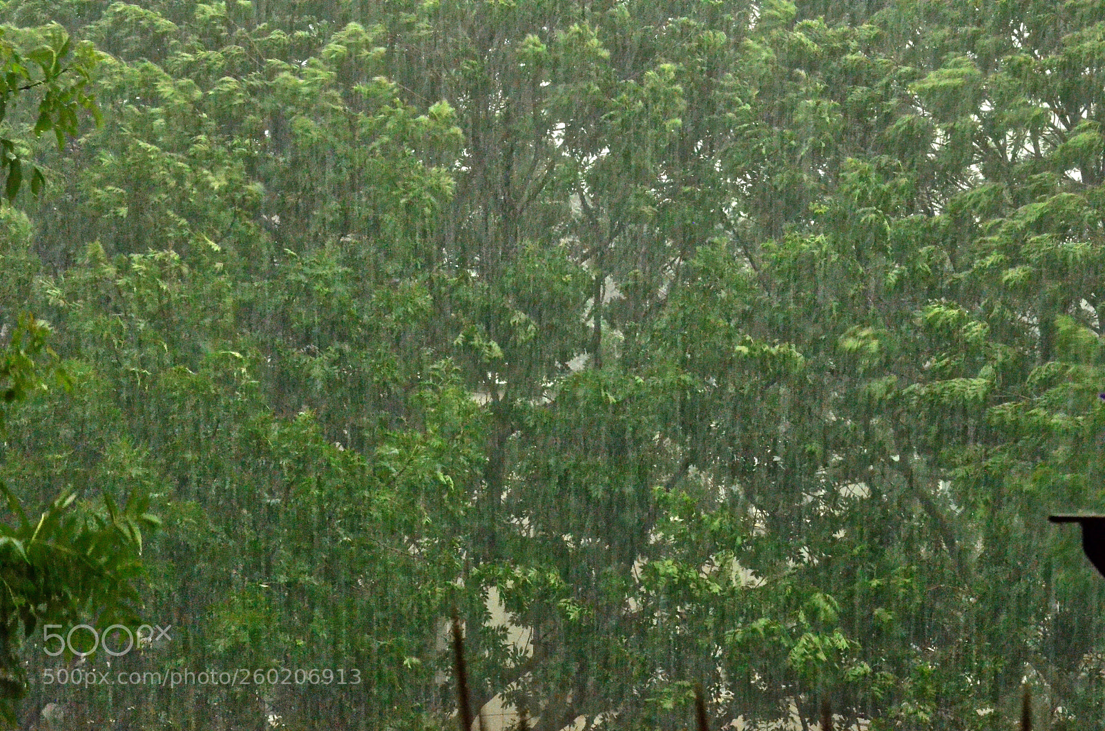 Nikon D5100 sample photo. It's getting wetter all photography