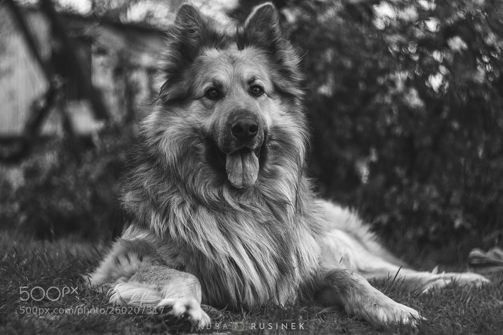 Canon EOS 70D sample photo. Untitled photography