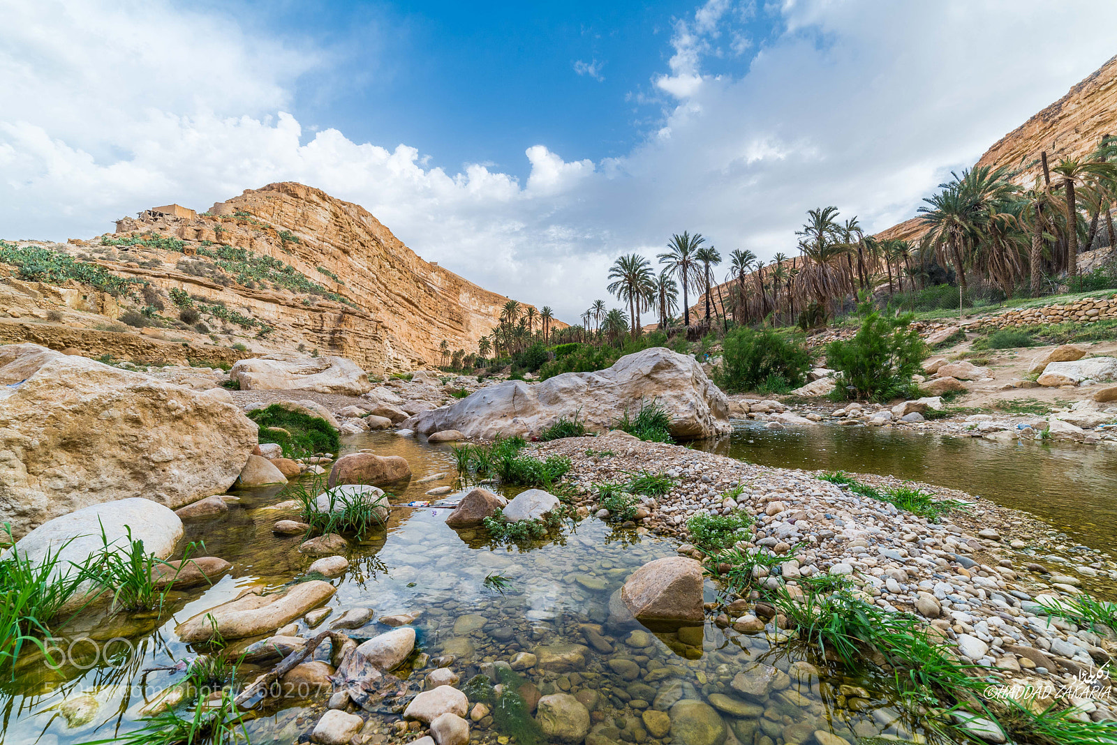 Nikon D610 sample photo. Nature photography