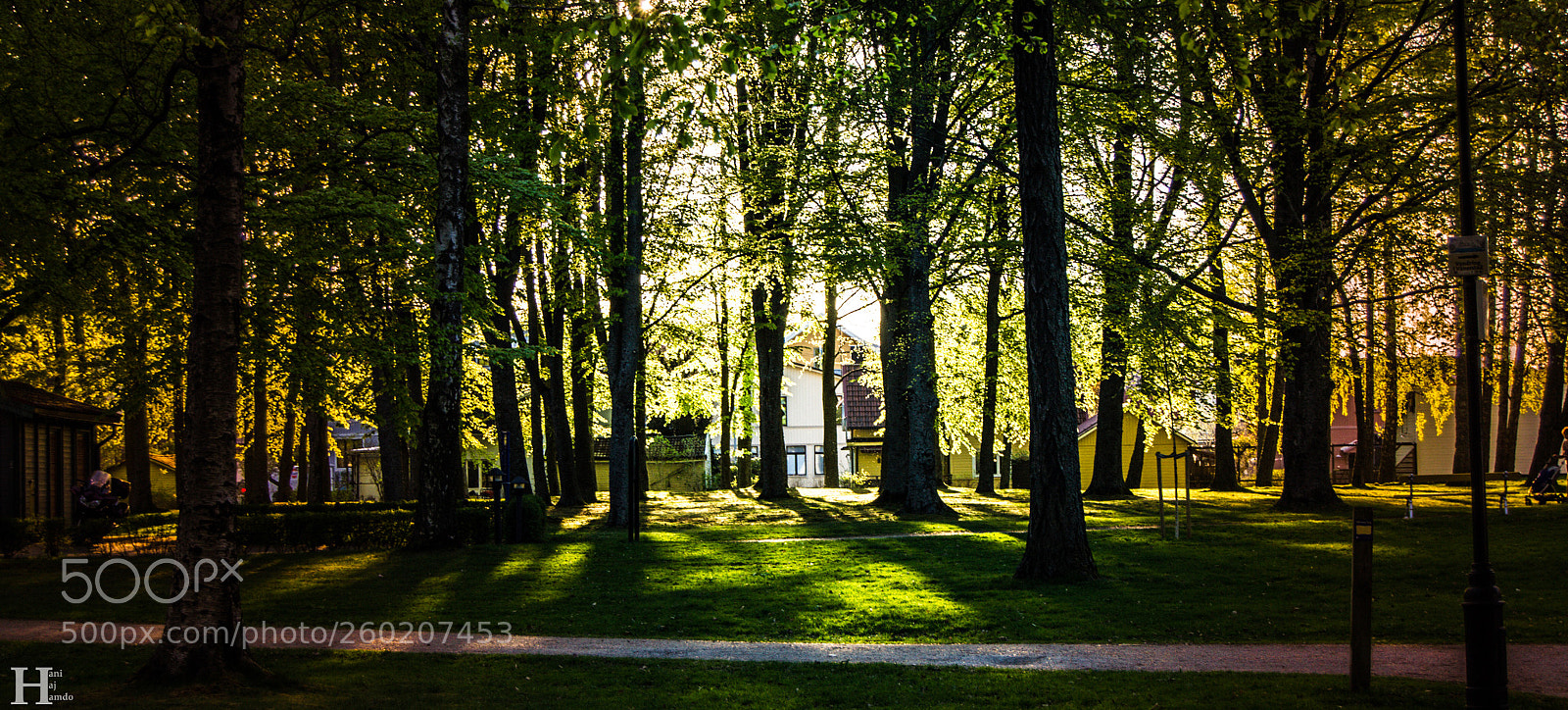 Nikon D3100 sample photo. Skräcklan view  photography