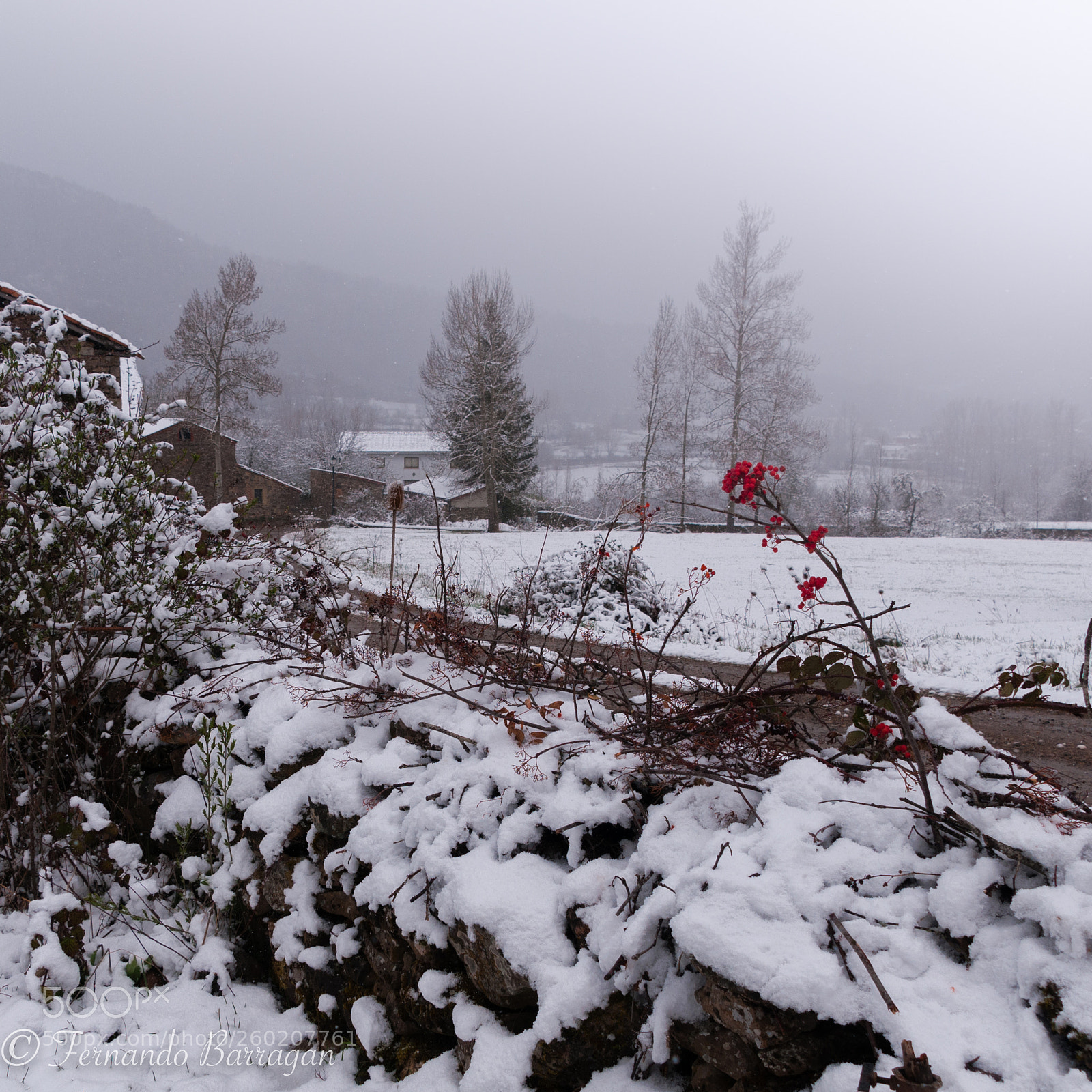 Nikon D300S sample photo. Cremenes nevado photography