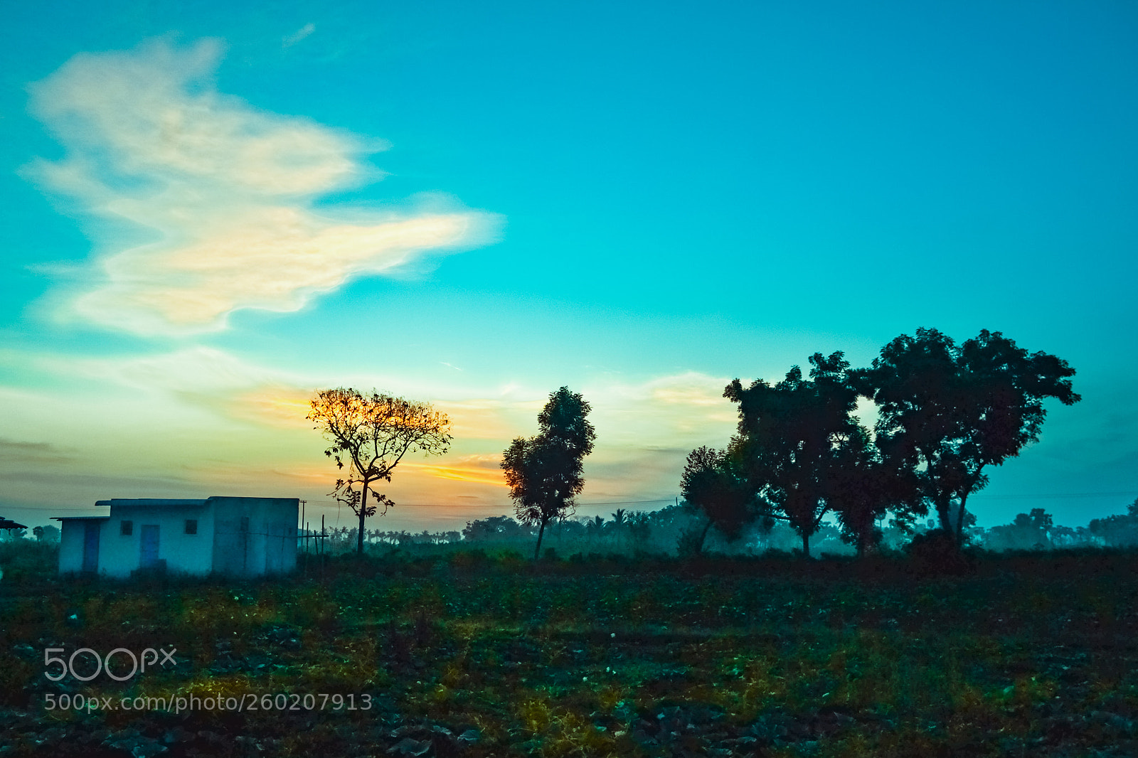 Nikon D3100 sample photo. Sun shiloutte photography