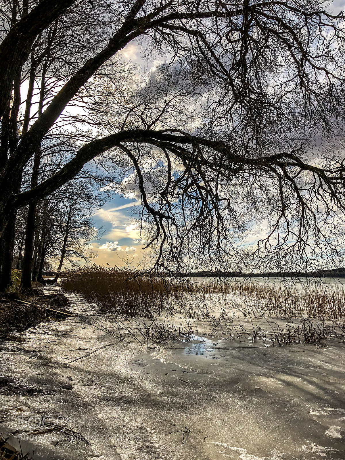 Apple iPhone 8 Plus sample photo. Lukstas kovas ledas photography