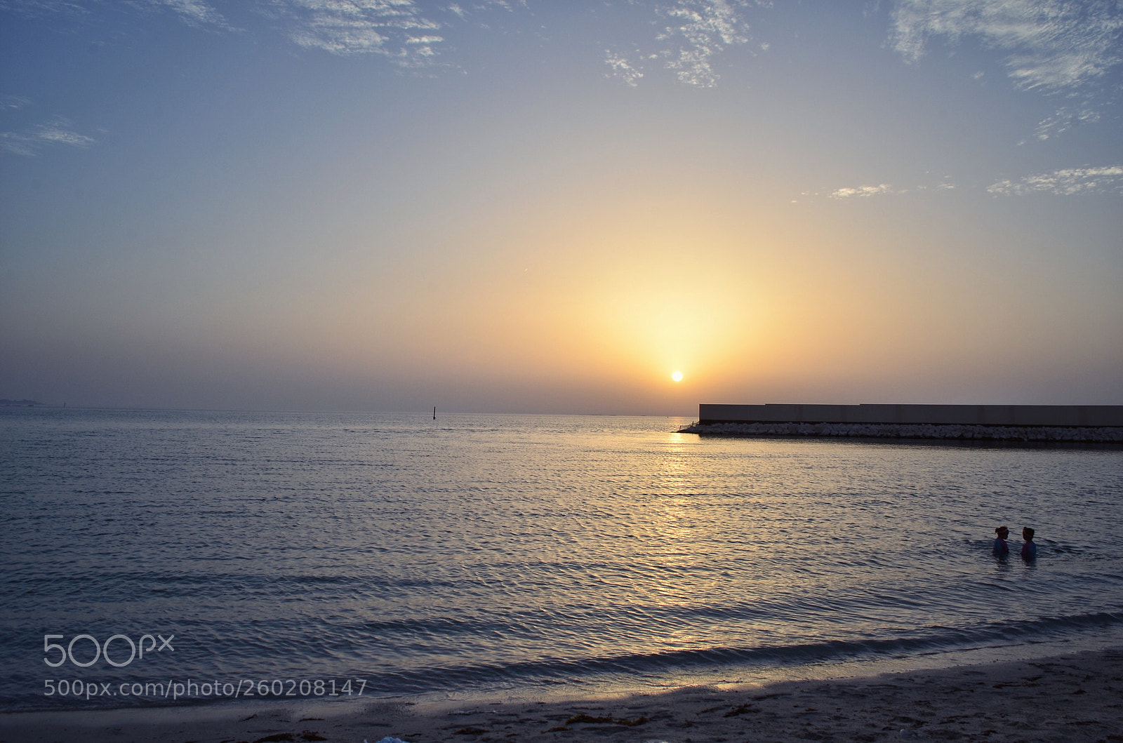 Nikon D5100 sample photo. Untitled photography