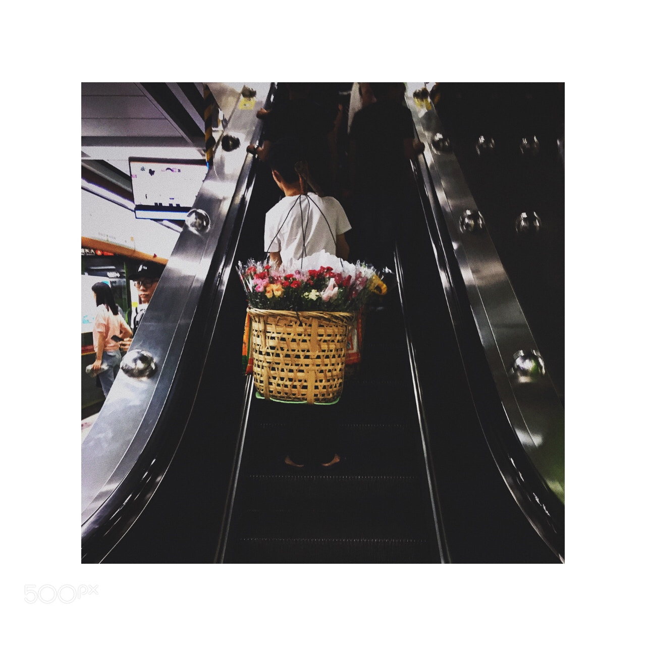 Apple iPhone 6s sample photo. Untitled photography