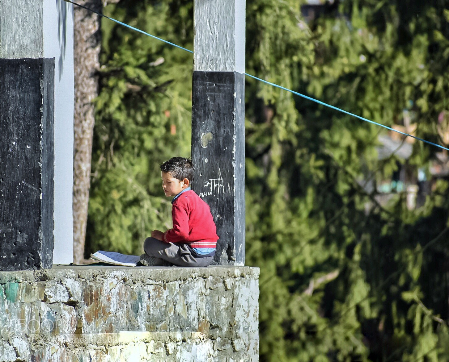 Nikon D5600 sample photo. I’m education  photography