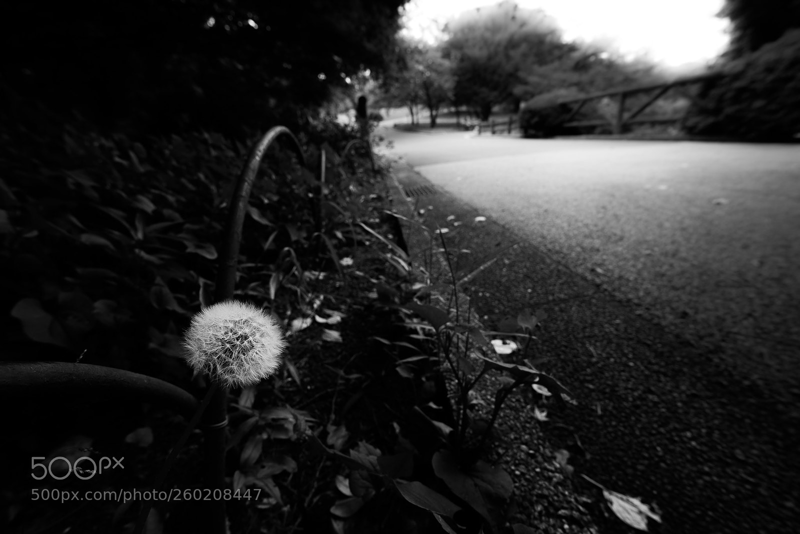 Nikon D810 sample photo. Ready for next generations photography
