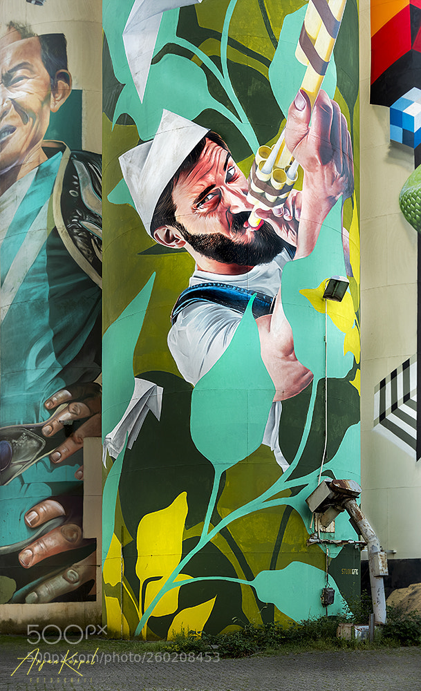 Nikon D810 sample photo. Graffiti on silo's photography