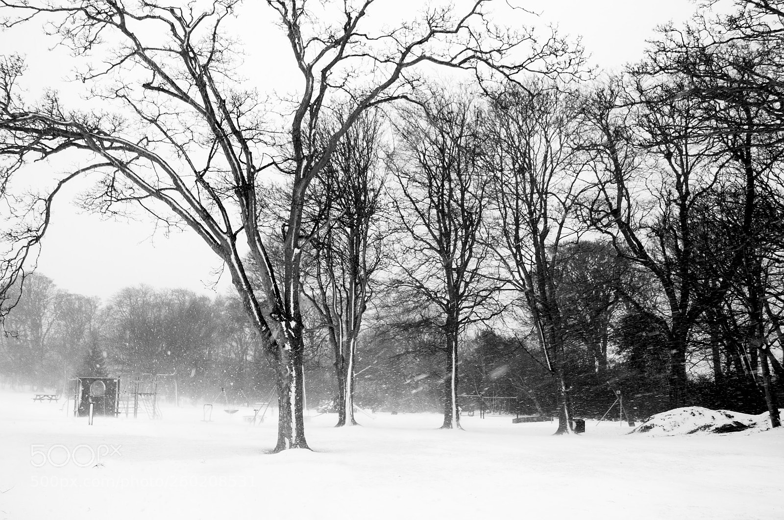 Nikon D3100 sample photo. Park in winter 2 photography