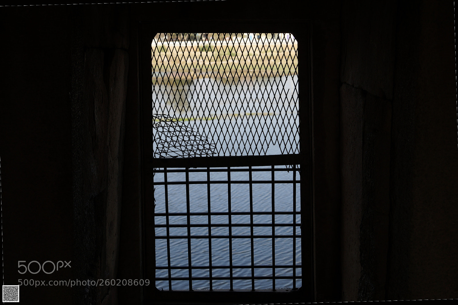 Sony SLT-A58 sample photo. Lookin through windows photography