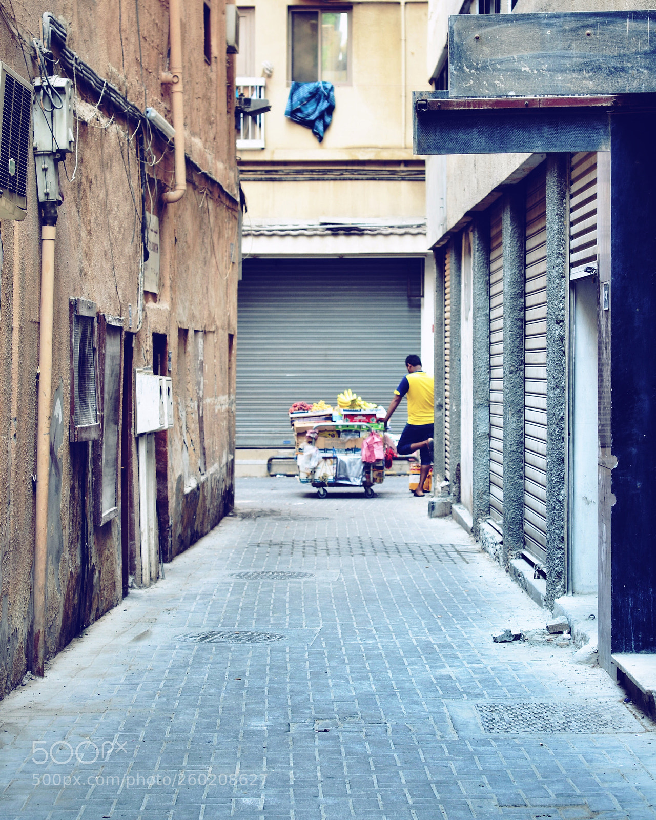 Nikon D5100 sample photo. Untitled photography