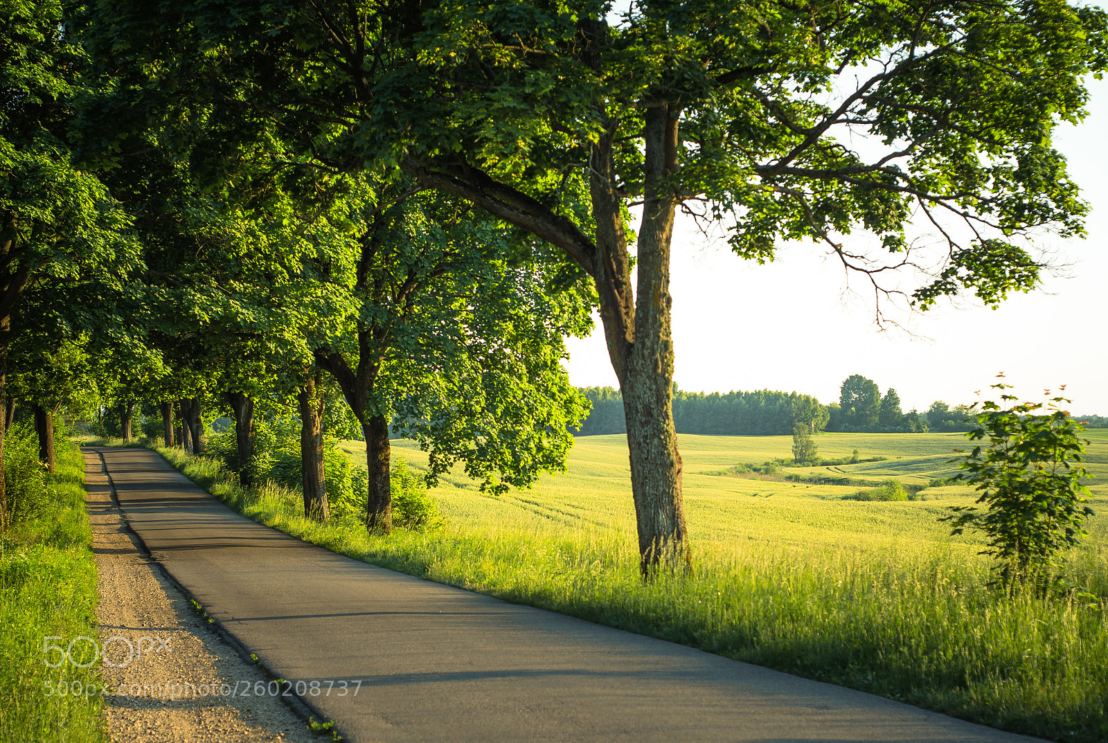 Nikon D7000 sample photo. Road to purda photography