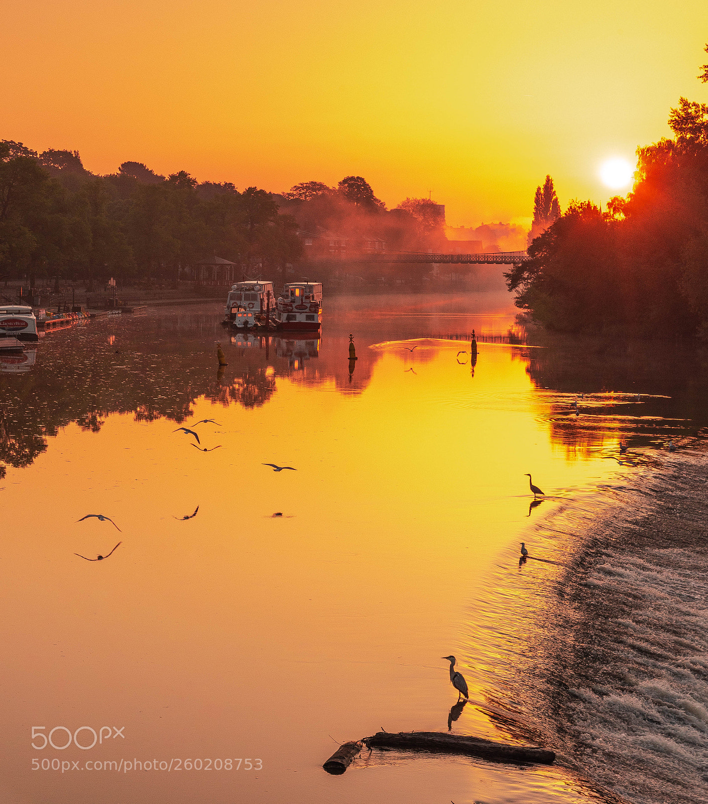 Nikon D750 sample photo. River dee sunrise photography