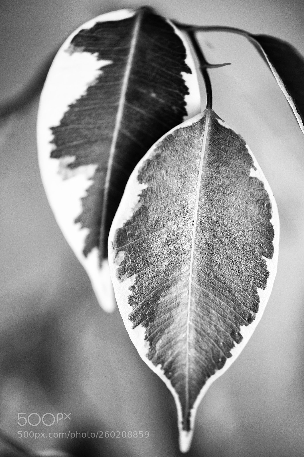Fujifilm X-E3 sample photo. Not printed photography