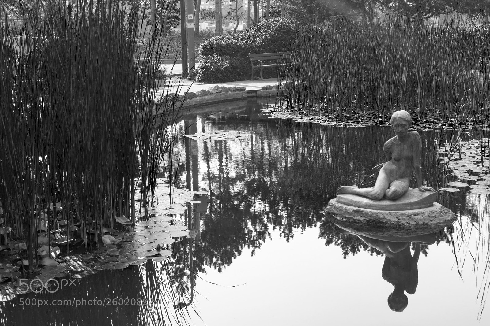 Nikon D5200 sample photo. Black and white stone photography
