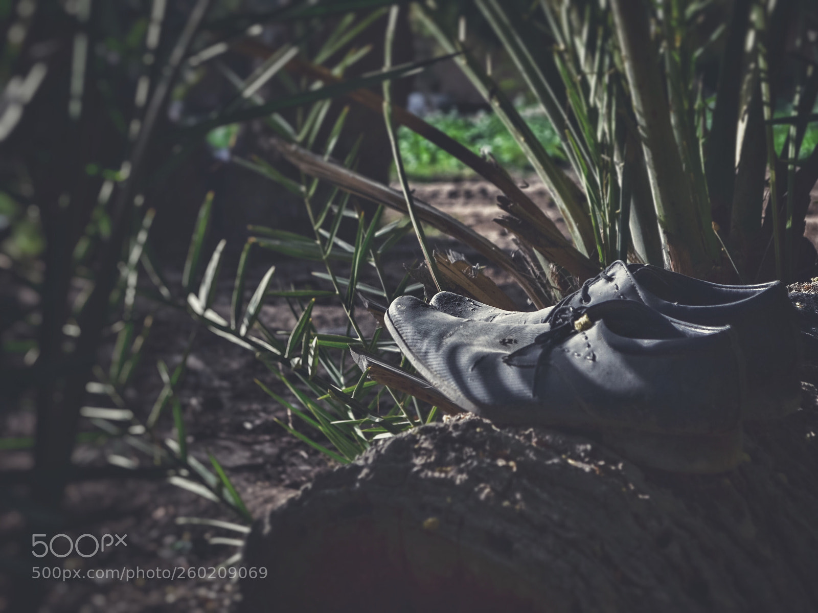 Nikon D5100 sample photo. Untitled photography