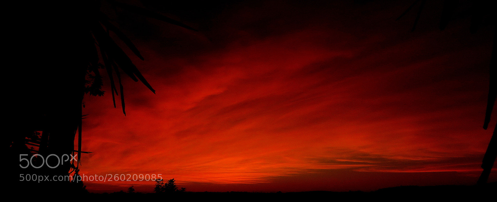 Canon PowerShot SX60 HS sample photo. Big morning photography