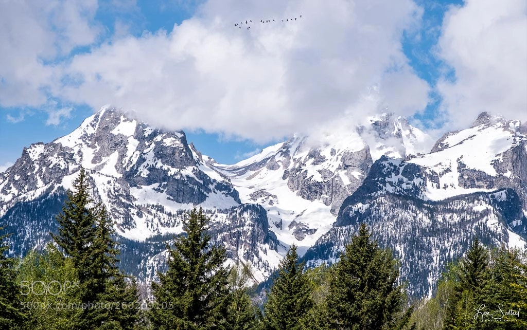 Fujifilm X-T2 sample photo. Migration over the tetons photography