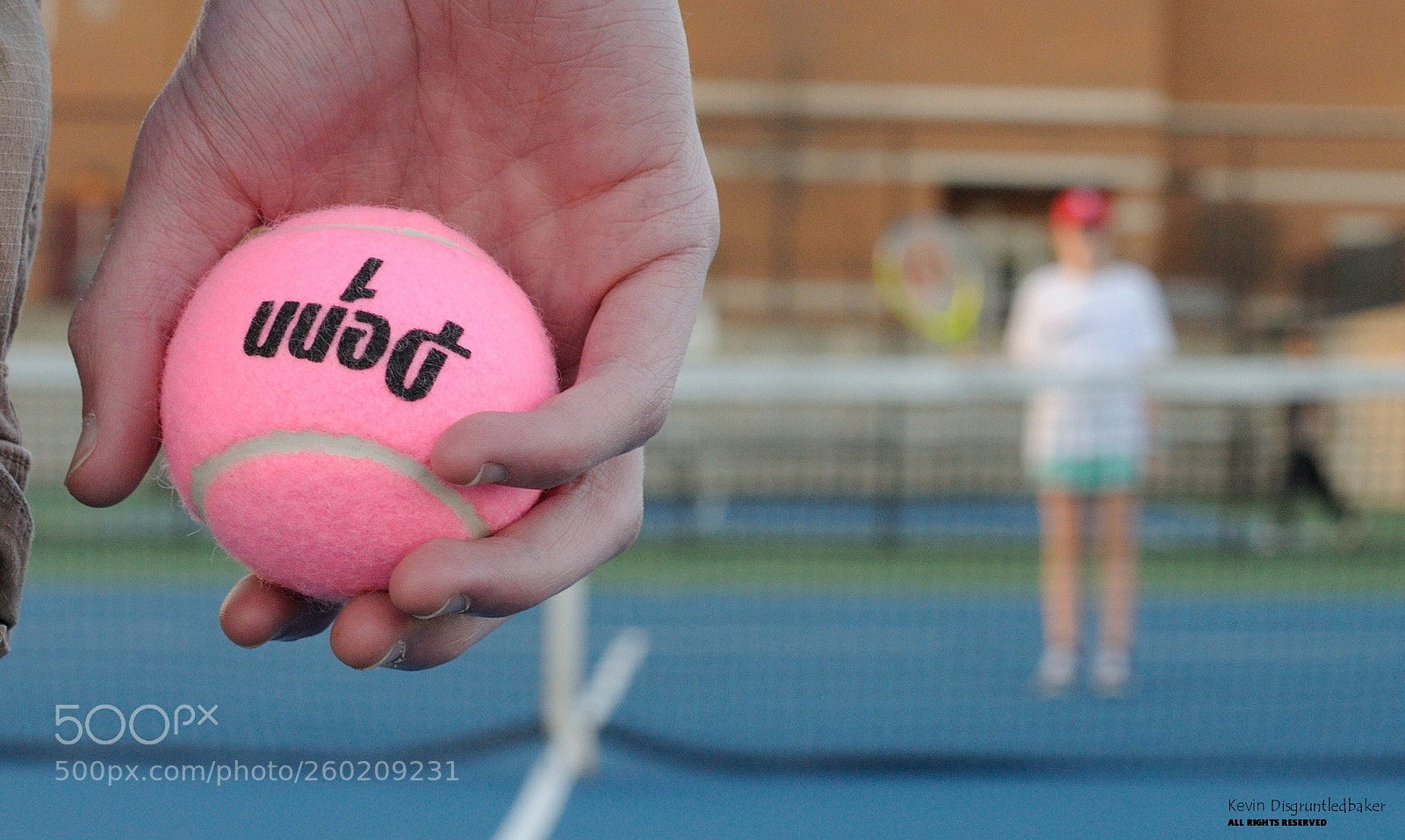 Nikon D90 sample photo. Better get back  photography