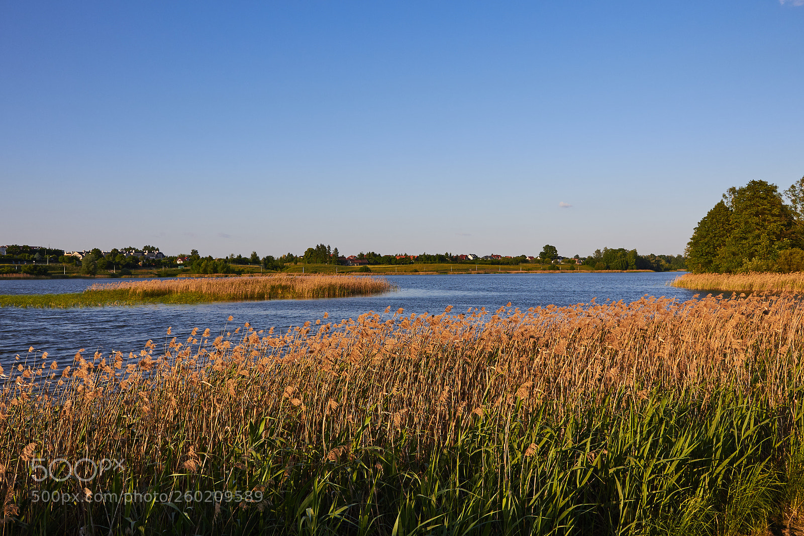 Canon EOS 100D (EOS Rebel SL1 / EOS Kiss X7) sample photo. Lake in szczytno photography