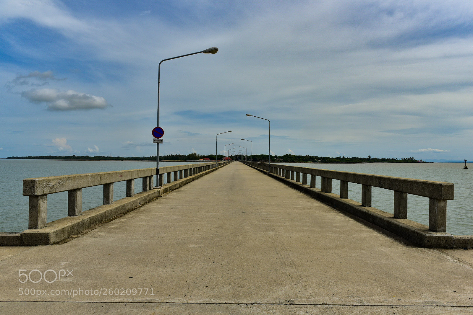 Nikon D750 sample photo. Untitled photography