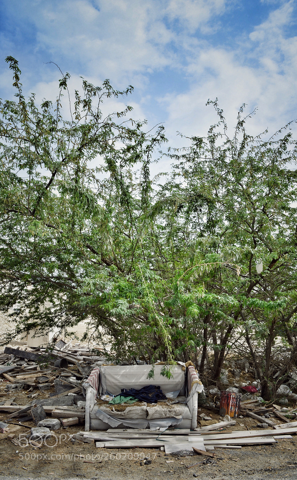 Nikon D5100 sample photo. Untitled photography
