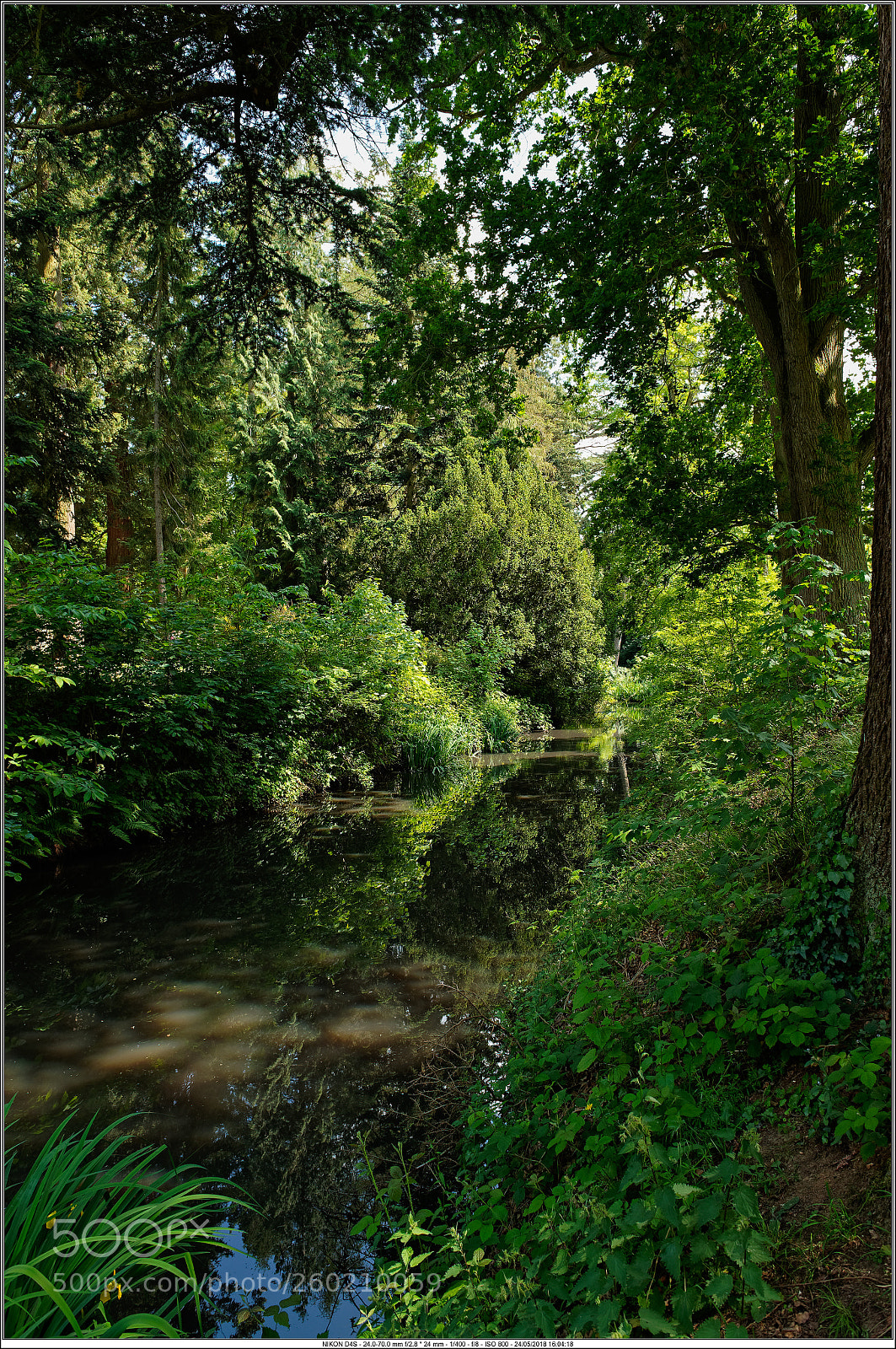 Nikon D4S sample photo. Cb photography