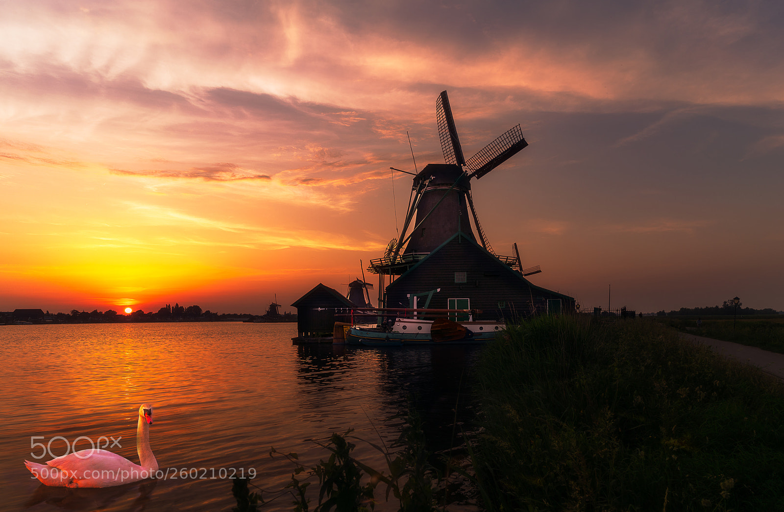 Sony a7R II sample photo. Dutch photography