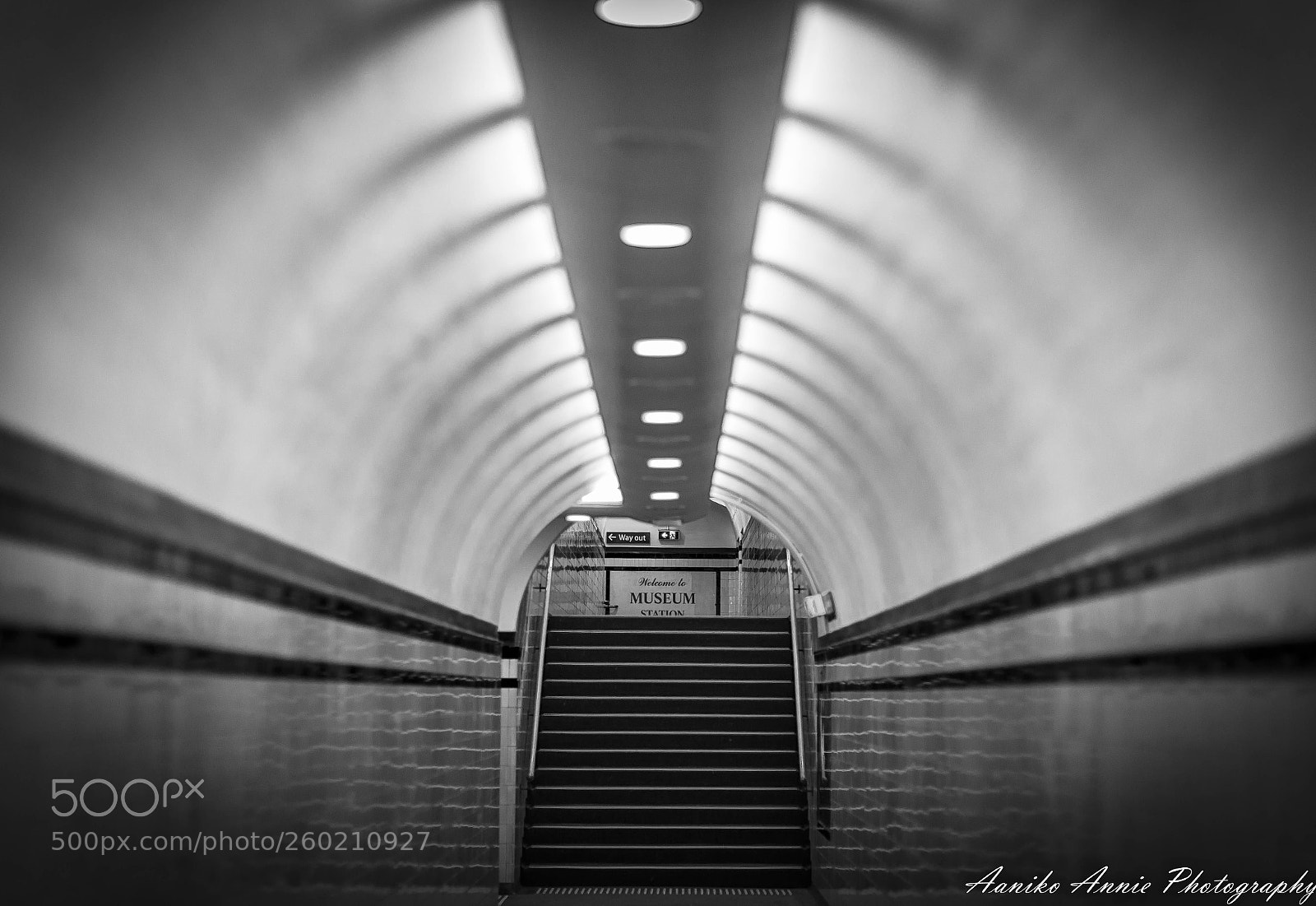 Canon EOS 6D sample photo. Museum station, sydney photography