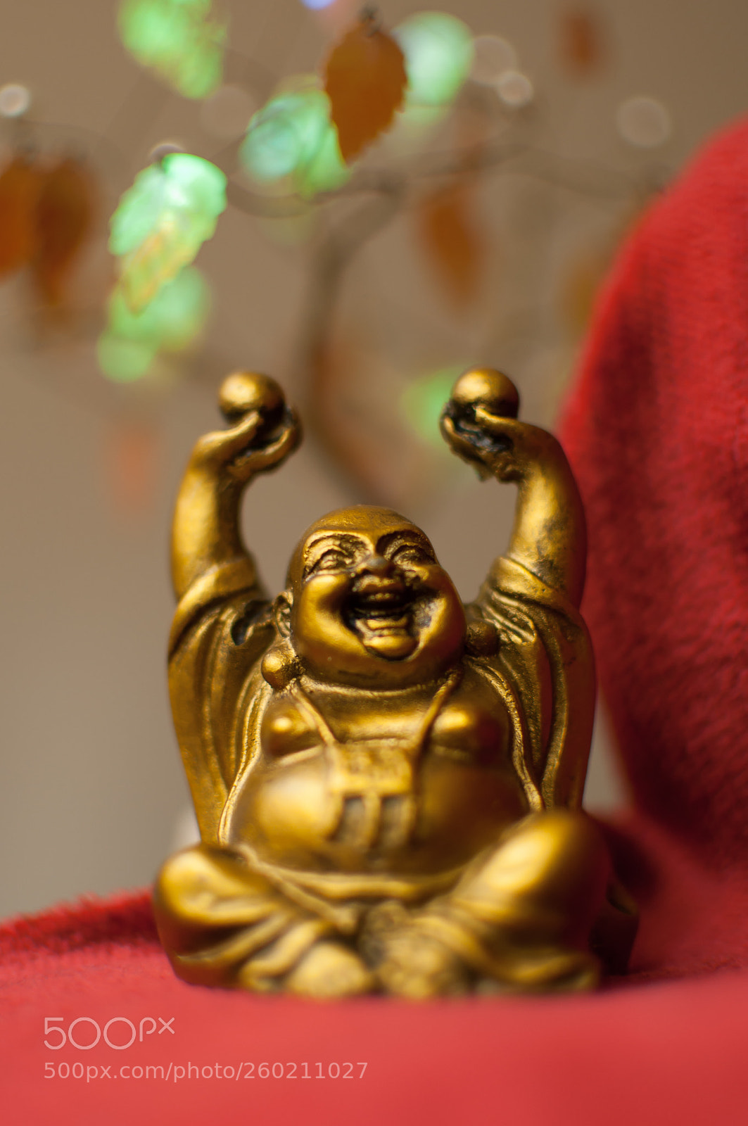 Nikon D90 sample photo. Happy buddha photography